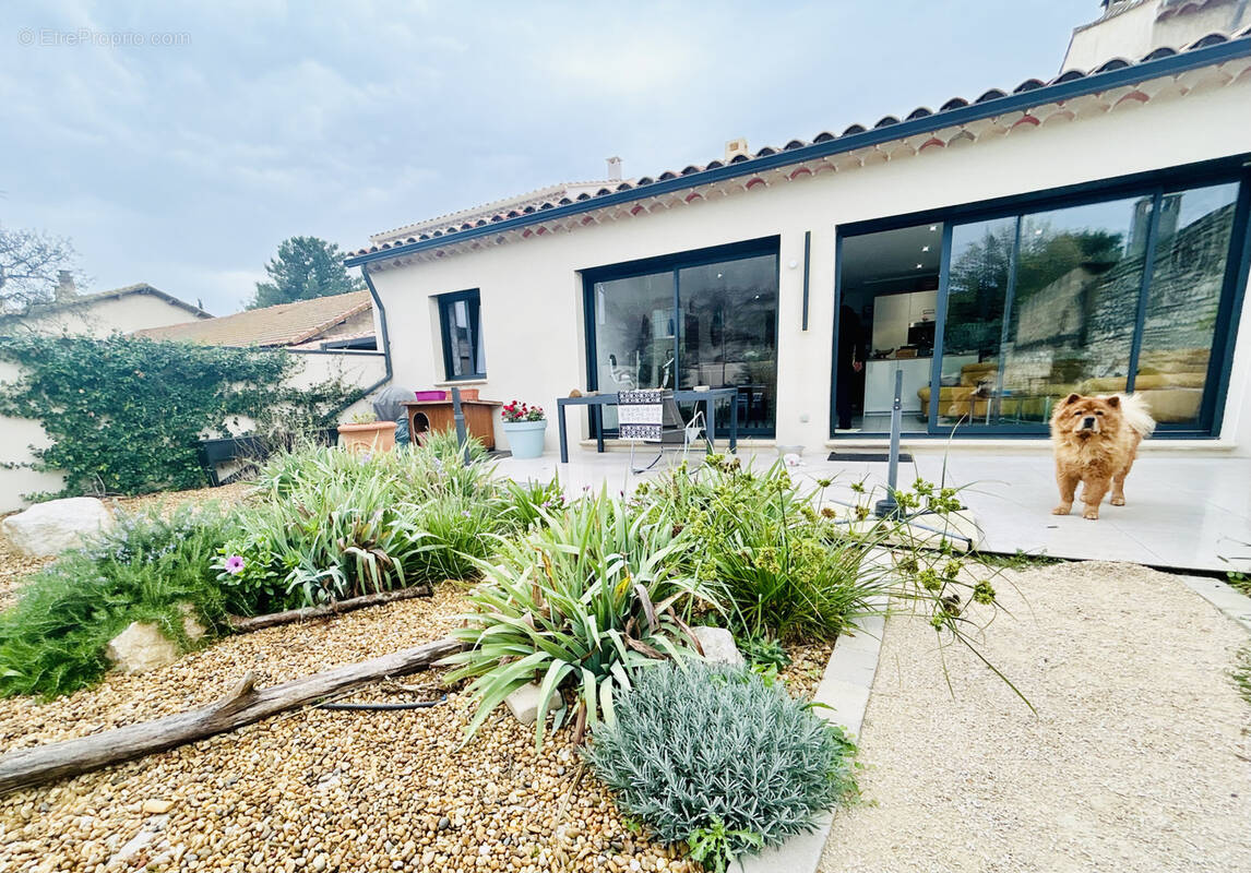 Maison à MORIERES-LES-AVIGNON