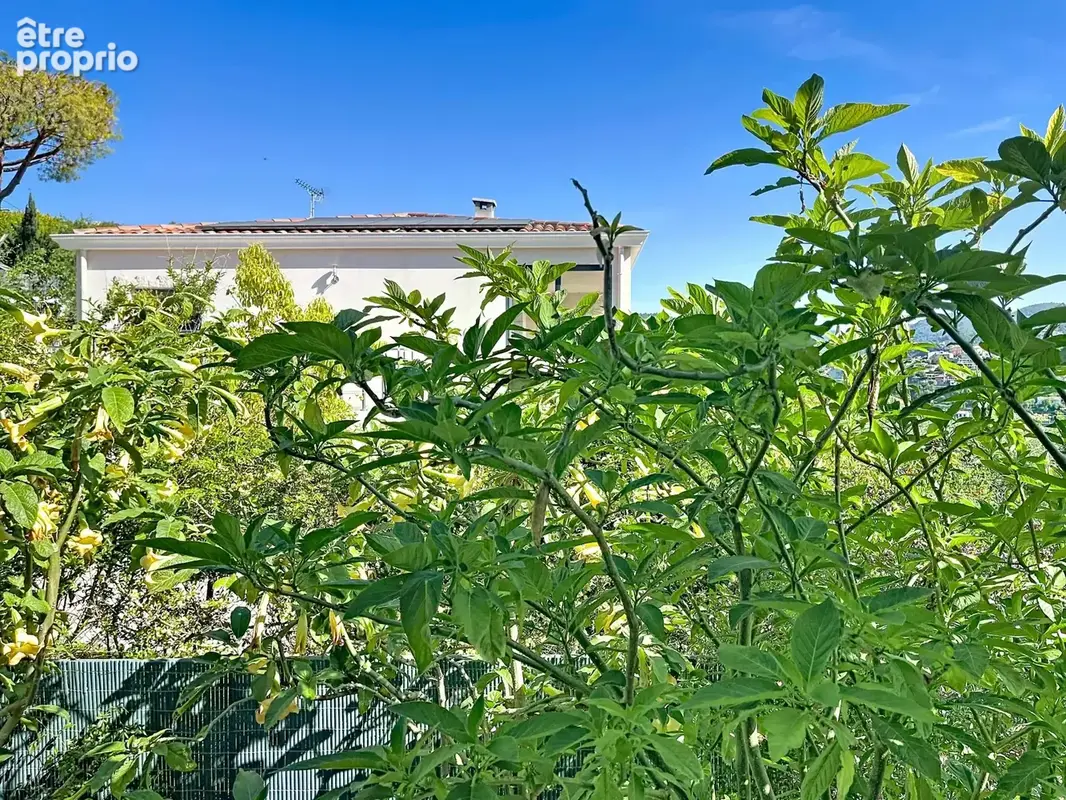 Nice Rimiez - Studio  31 m2 - terrasse - jardin - parking - photo 8