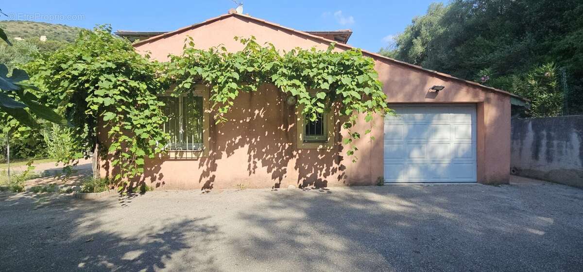 Maison à FALICON