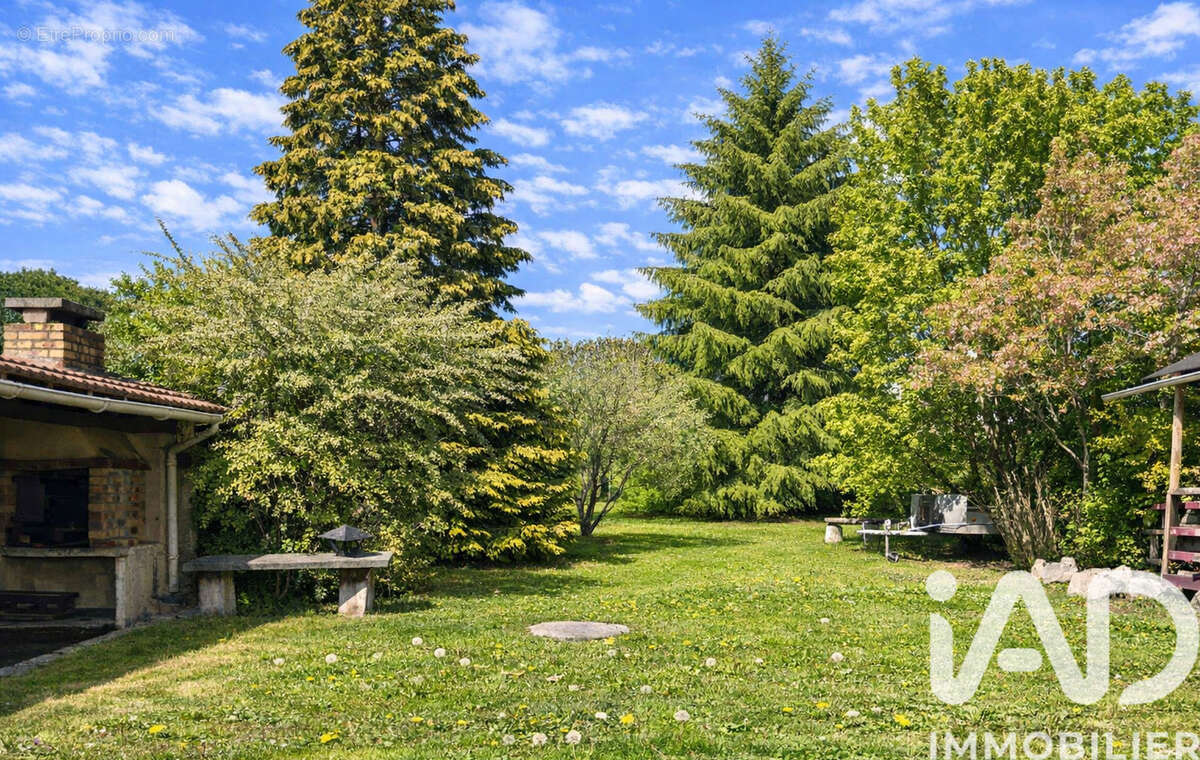 Photo 4 - Maison à MAULE
