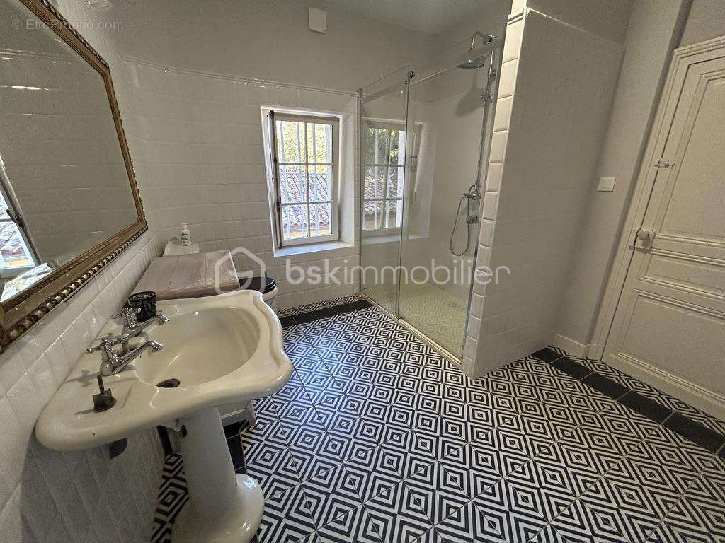 Château et sa maison de gardien - vue -terrain - piscine - dépendances - photo 13