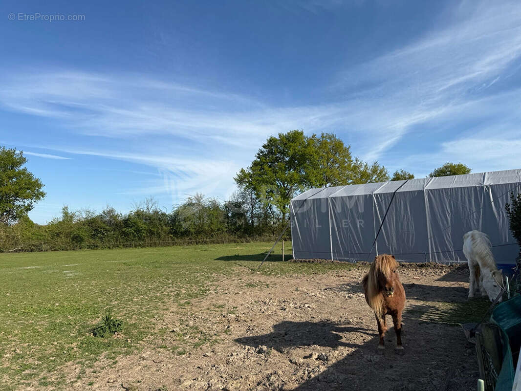 Maison à BEAULIEU-SUR-LOIRE