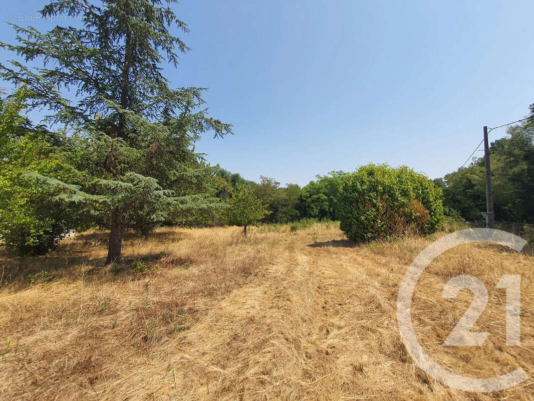 Terrain 860 m² à Montans  - photo 7