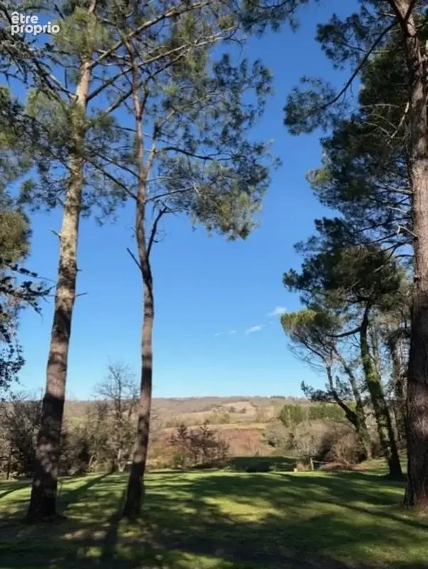 AIGNAN(32) : ELEGANTE MAISON TRADITIONNELLE  des années 80, SANS TRAVAUX, 150m2 habitables, bien située à AIGNAN, sur 2.000m2, l - photo 16