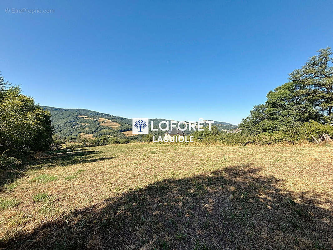 Terrain Castelnau-de-Mandailles 5390 m2 - photo 3