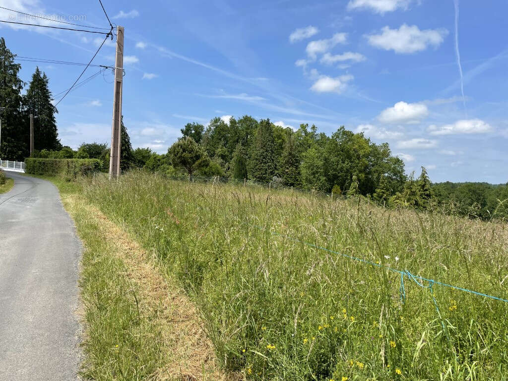 Juillac, campagne, belles vues campagne - photo 3