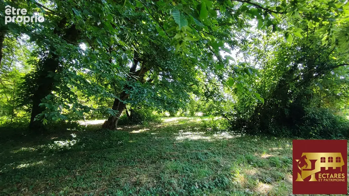 Propriété de caractère à Rénover - photo 14