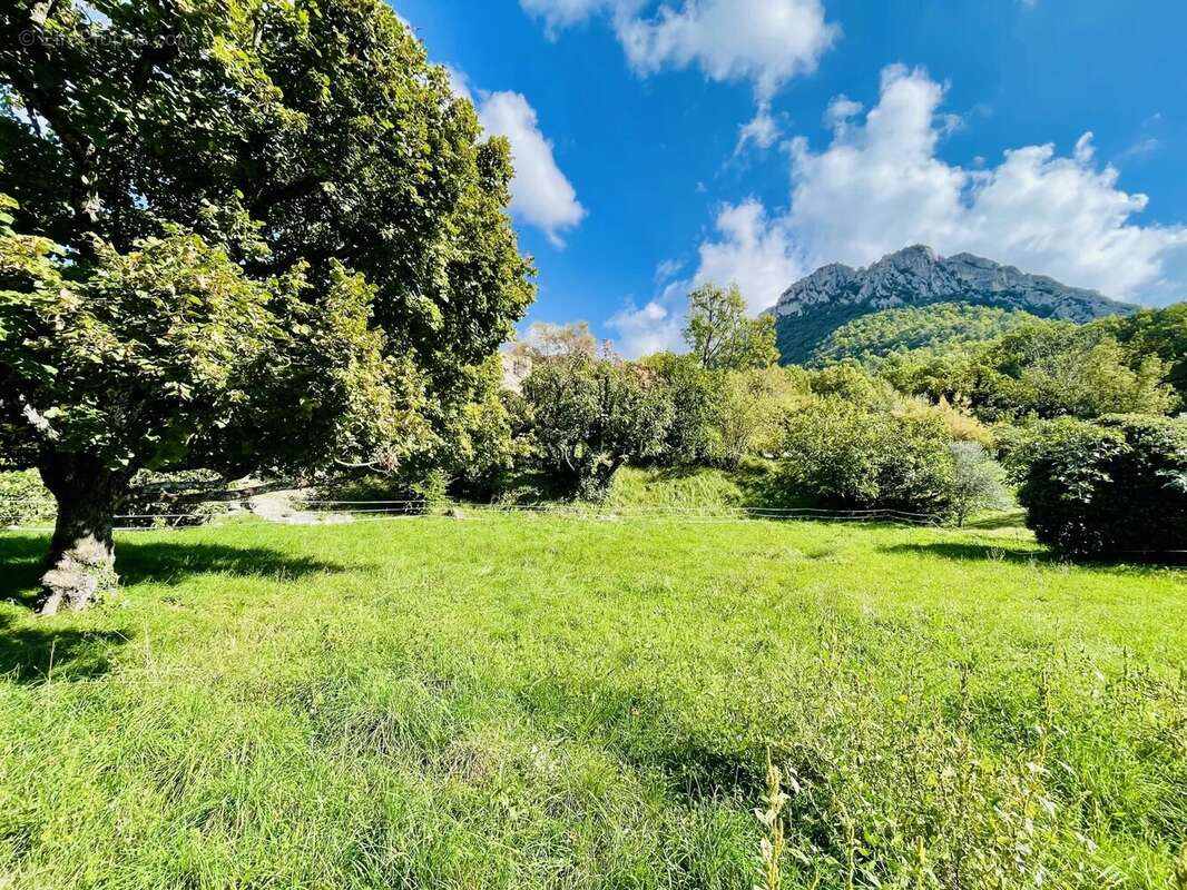 Terrain à BUIS-LES-BARONNIES