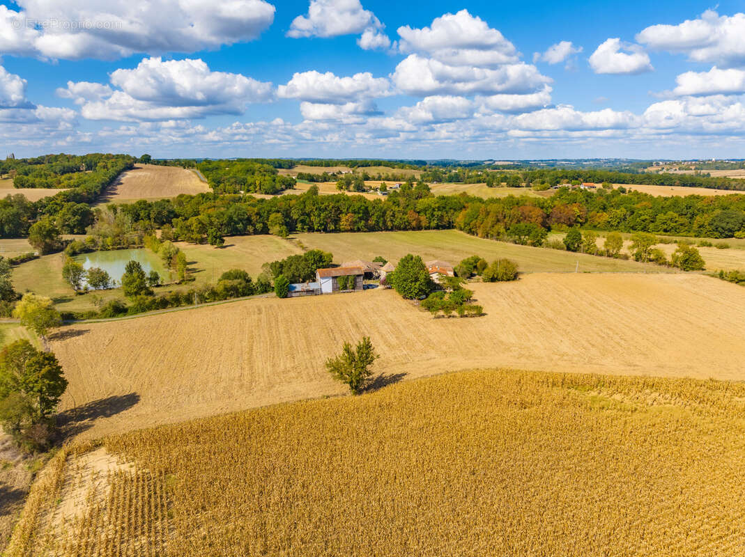 Maison à MONTAURIOL