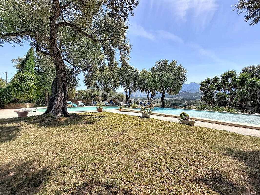 Maison 443 m² à Calvi  - photo 4