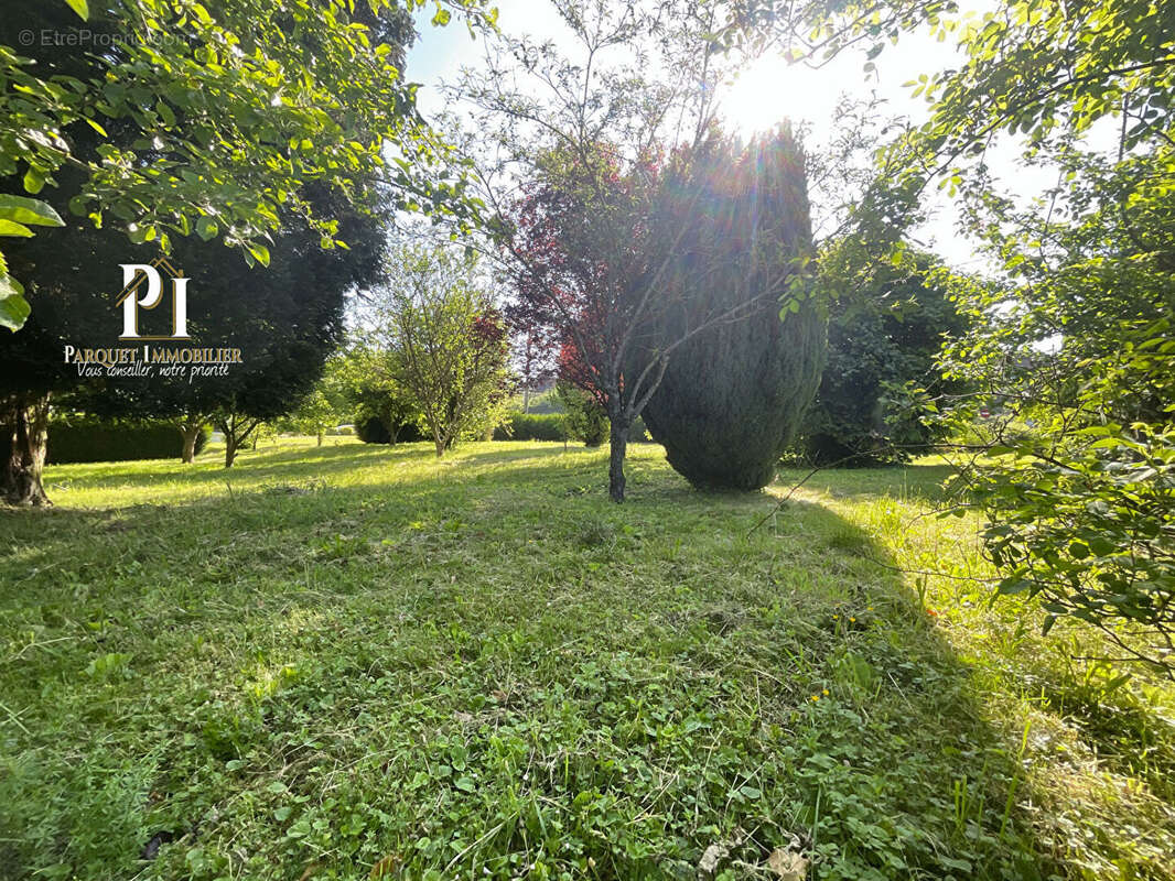 Terrain constructible à 5 km d'Albert ! - photo 2