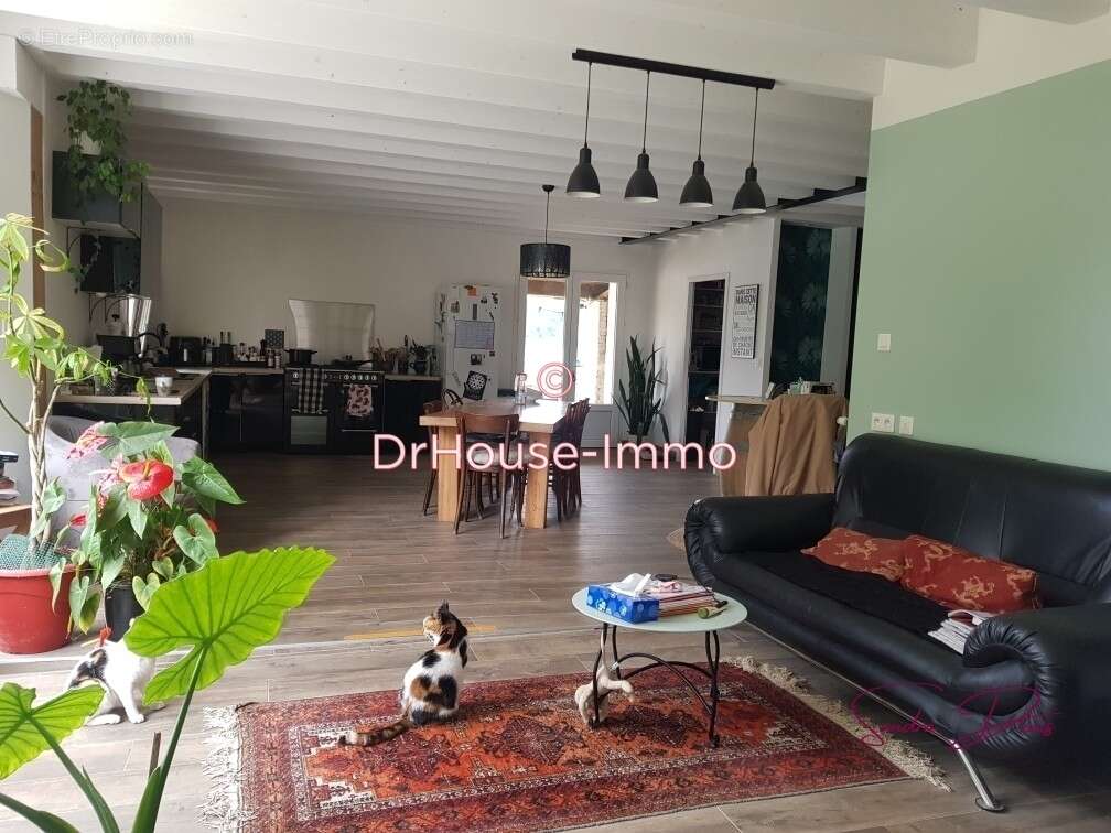 Maison à SAINT-FELIX-DE-FONCAUDE