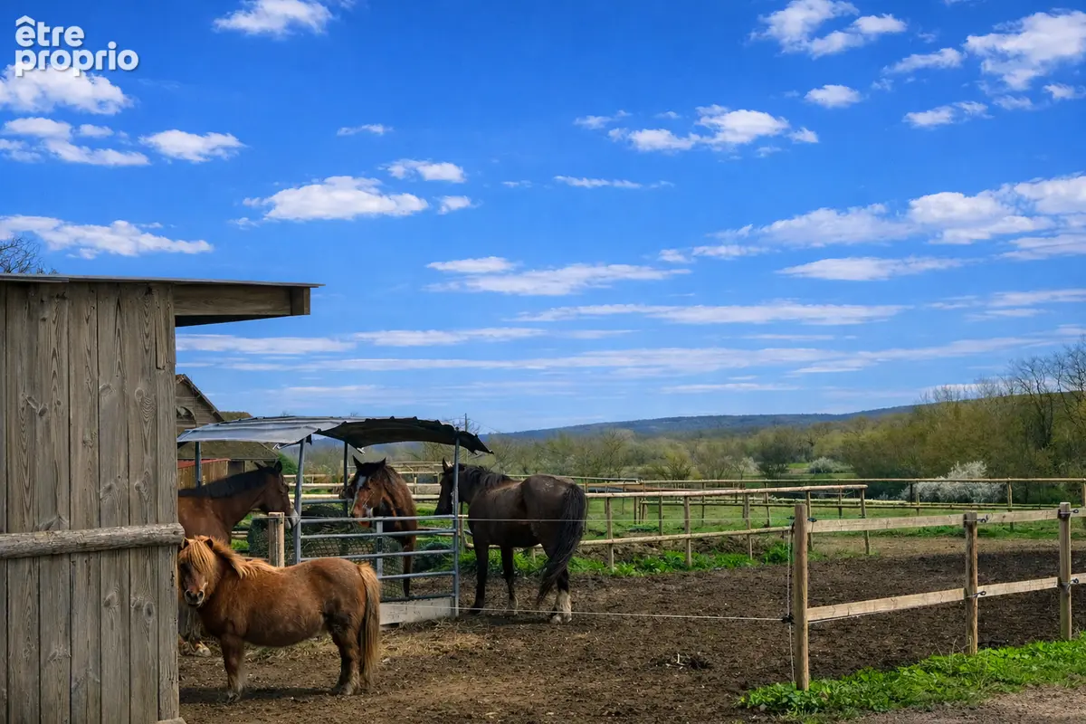 Propriété équestre de 5,5 hectares - photo 10