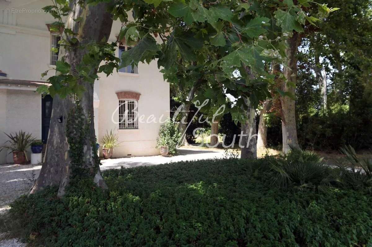 Maison de maître avec dependance, parc et piscine, proche perpignan - photo 2