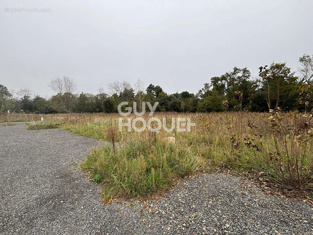 Terrain à SAINT-HILAIRE-DE-RIEZ