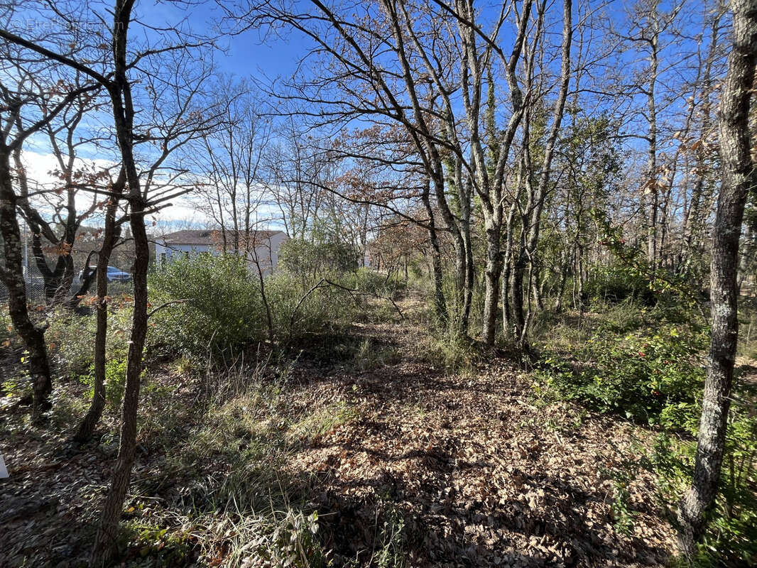 Terrain à TRANS-EN-PROVENCE