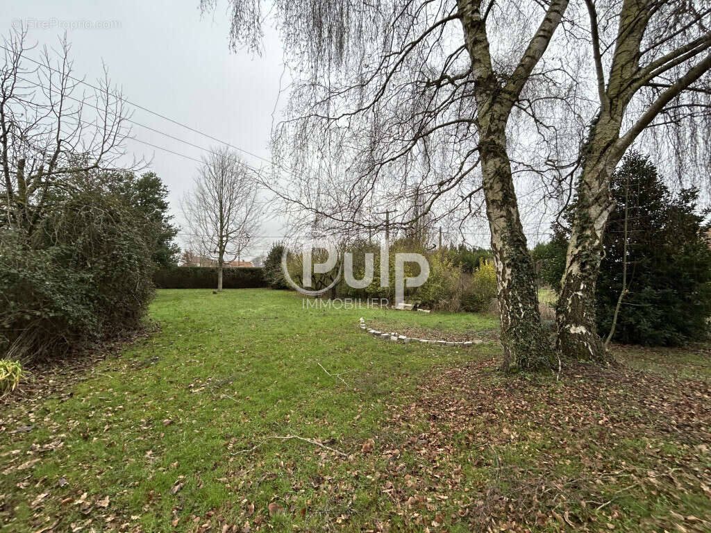 Terrain à AIRE-SUR-LA-LYS