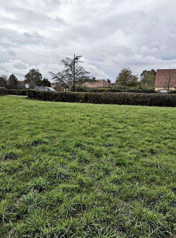 Terrain à BRETEUIL
