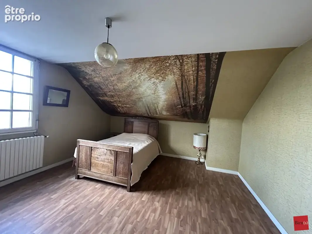 Maison 13 pièces 357 m² à vendre à Laval (53000) - photo 6