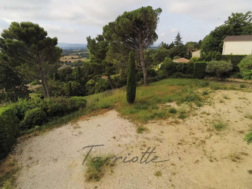 Terrain - 10455 - photo 4