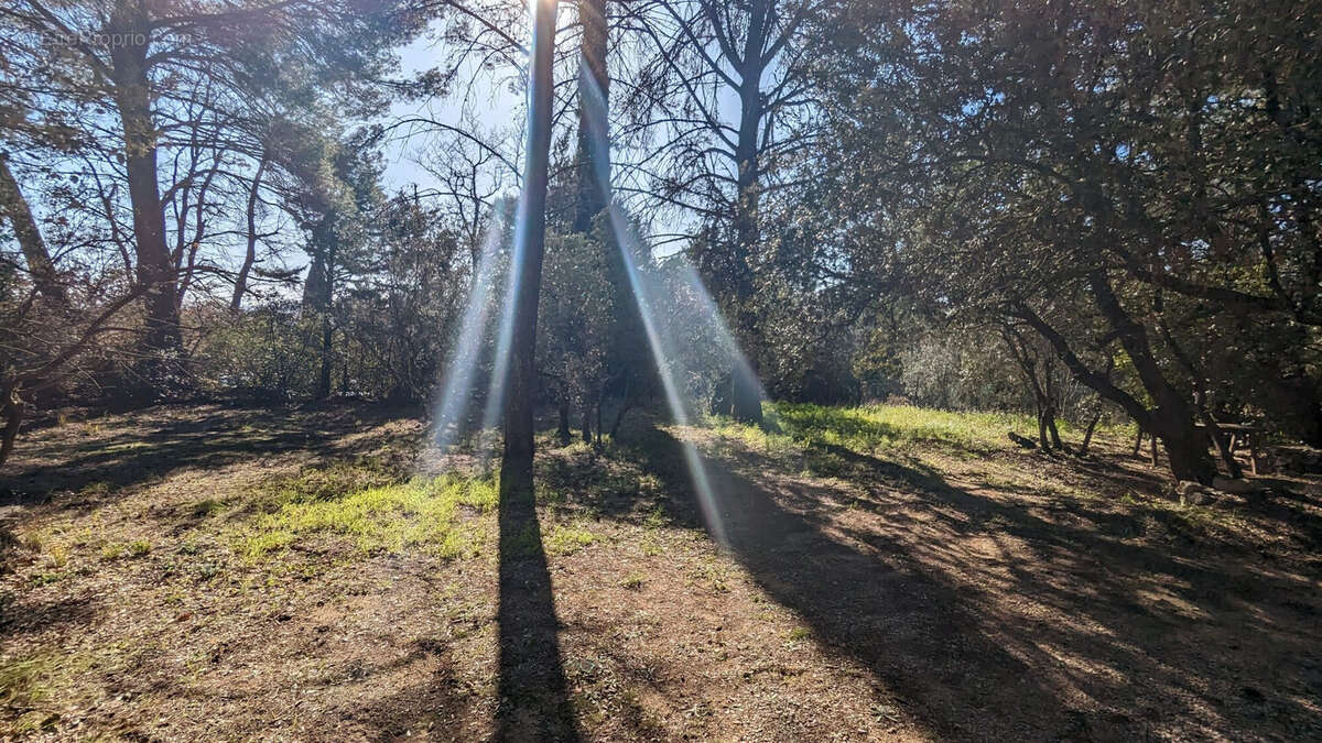 Terrain à LORGUES
