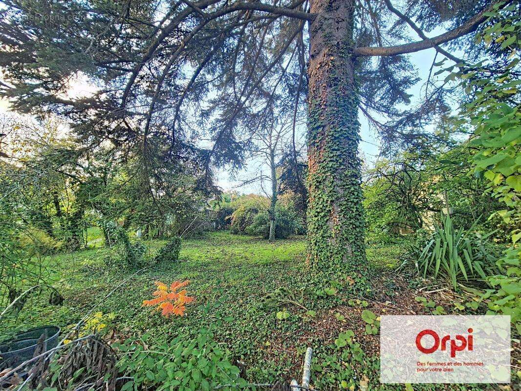 Maison à TERRASSON-LAVILLEDIEU