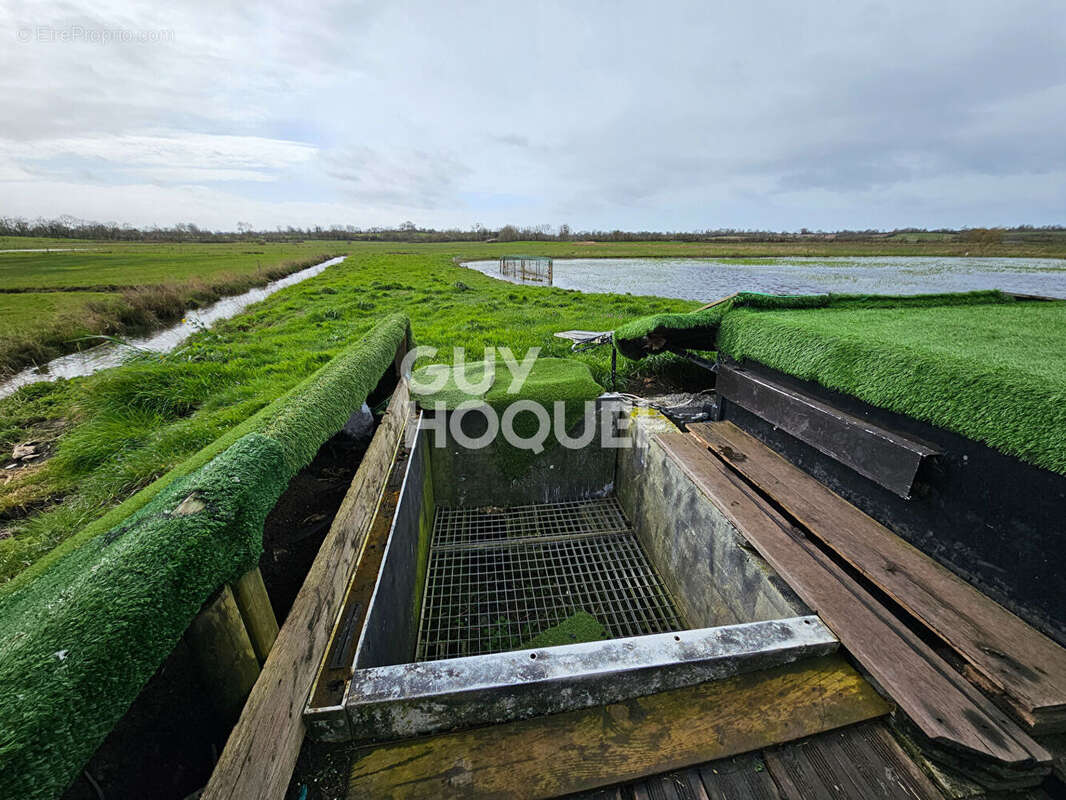 Terrain à CRICQUEVILLE-EN-BESSIN
