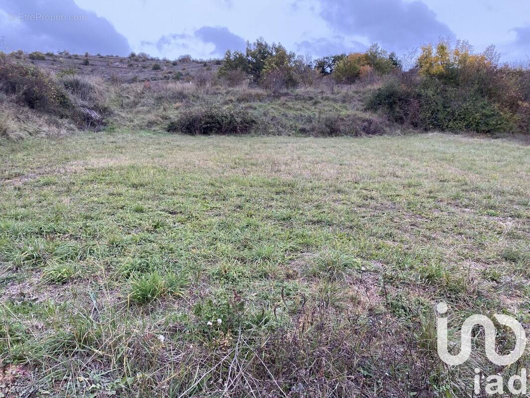 Photo 1 - Terrain à SAINT-ROME-DE-TARN