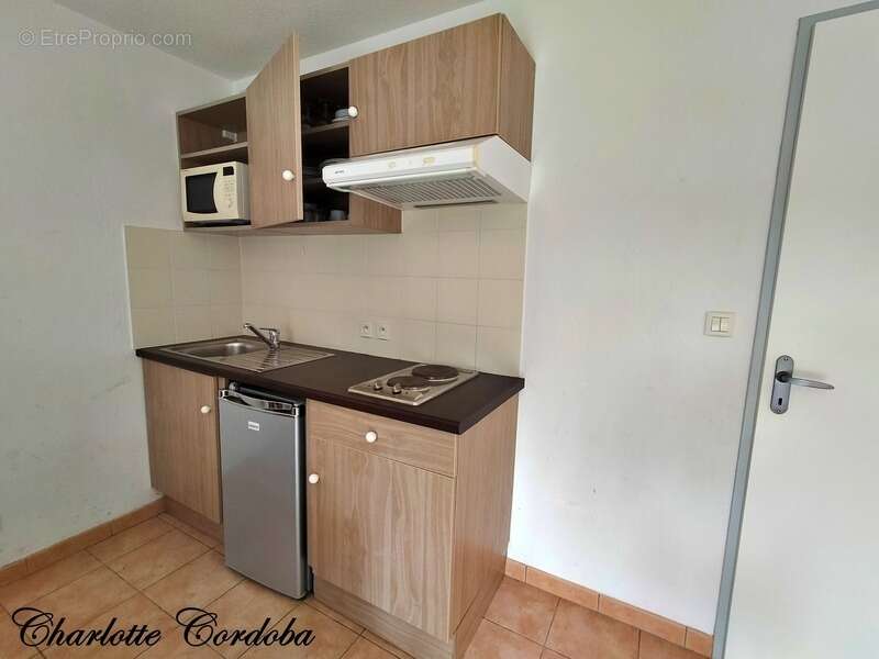 Appartement 3 pièces meublé dans résidence de tourisme sans bail commercial BARBASTE (47) - photo 5