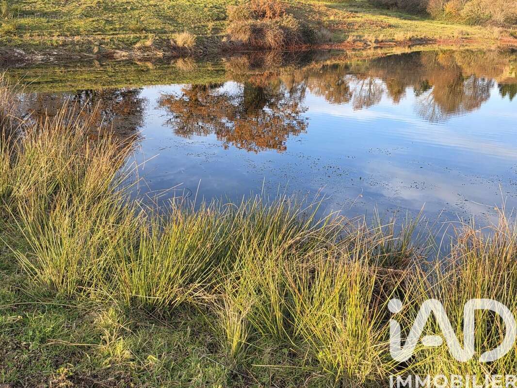 Photo 5 - Terrain à LE BUIS