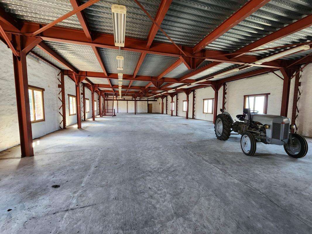 Commerce à CORMENON