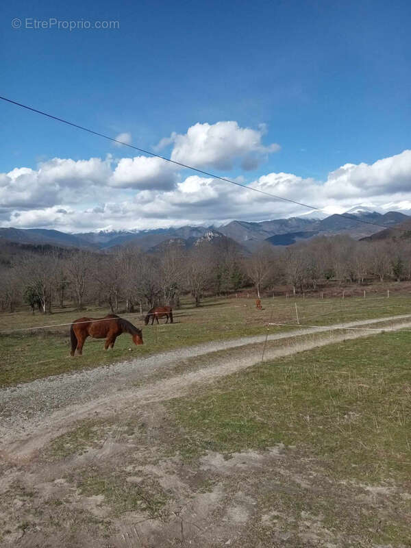 Maison à SAINT-LAURENT-DE-CERDANS