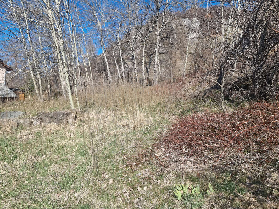 Terrain à SAINT-MICHEL-DE-CHAILLOL