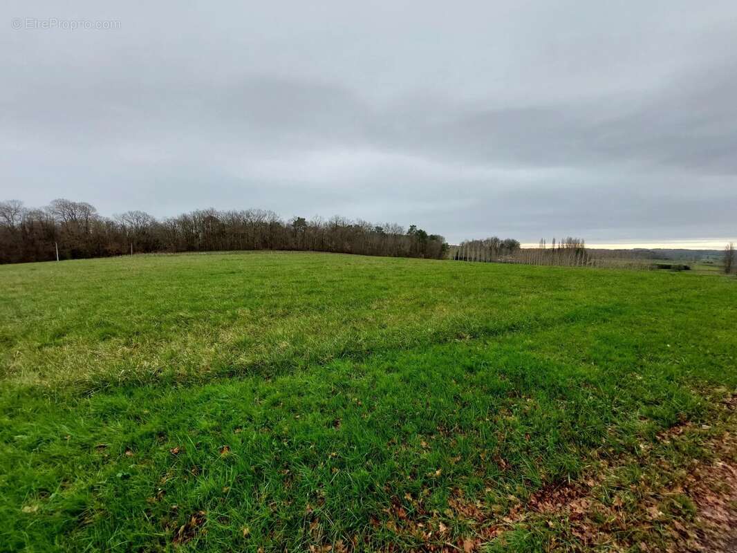 Terrain à SAINTE-COLOMBE