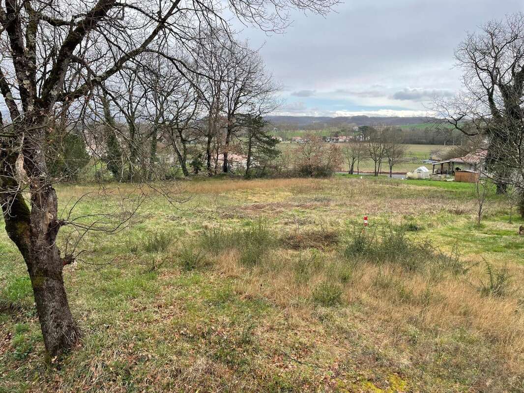Photo 3 - Terrain à SAINT-PAUL-CAP-DE-JOUX