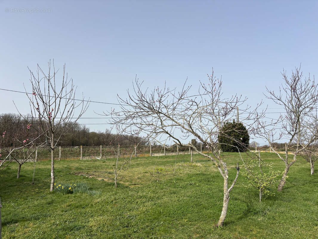 Vicq-Exemplet   Maison de plain-pied avec un jardin clos de 2 228 m2 et une vue dégagée - photo 25