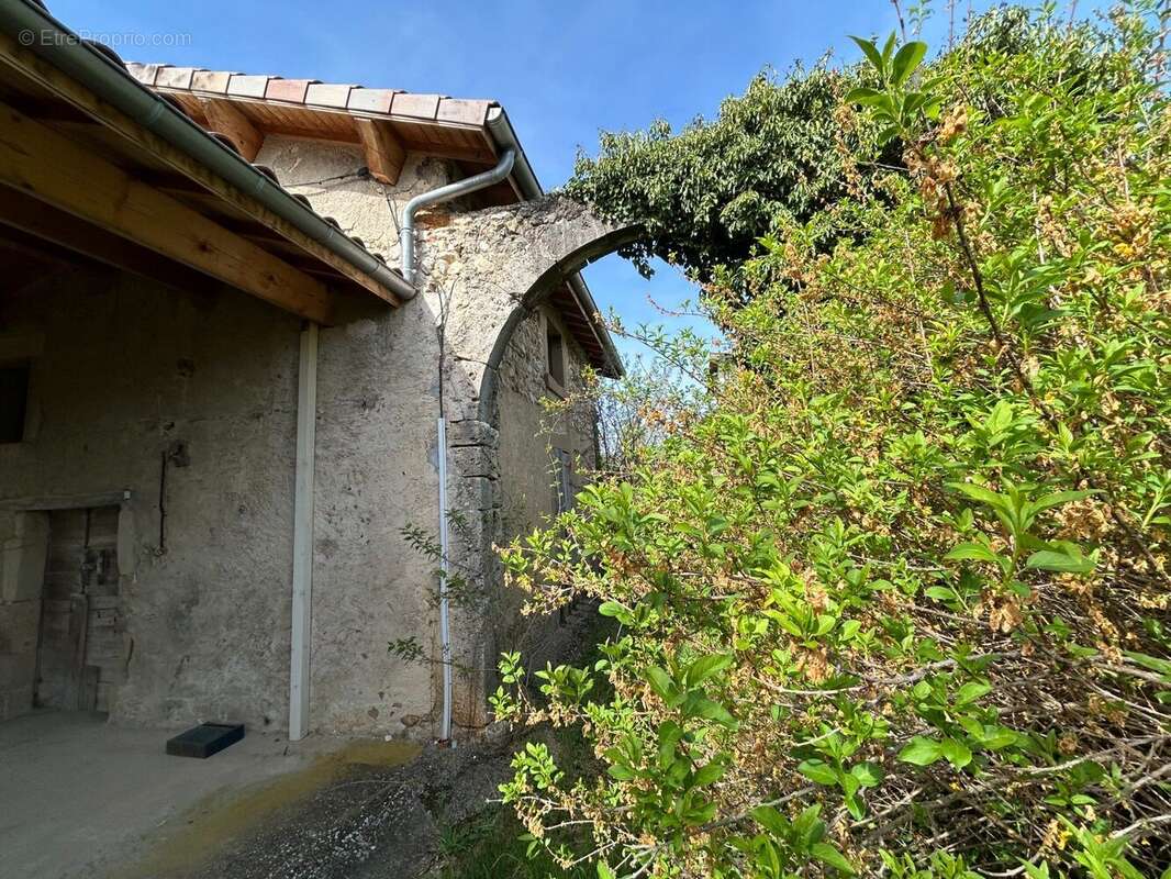 Maison 375 m² à Besayes  - photo 4