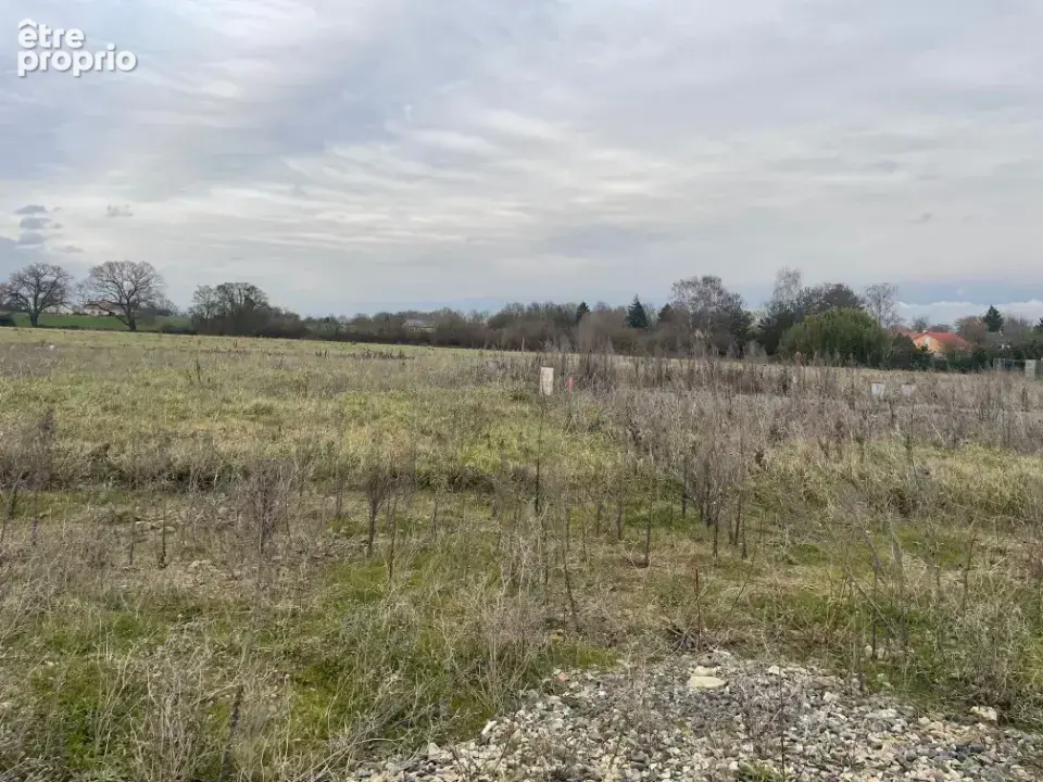 Photo Terrain à Savigne-L'eveque au prix de 52 000€