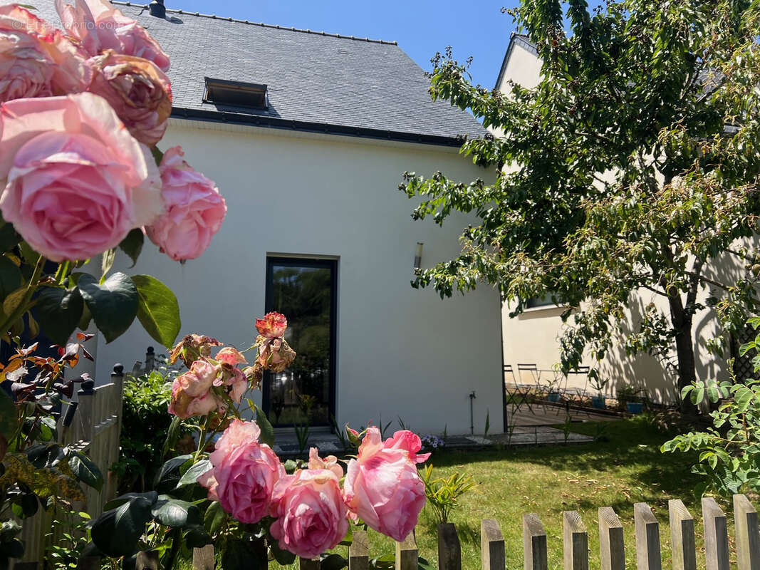 Maison à BONO