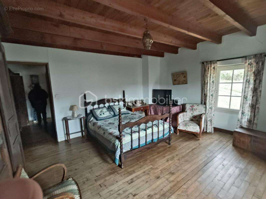 Ensemble Immobilier comprenant 2 maisons avec Piscine + Annexes sis sur 1 Terrain de 2.5 Hectares - photo 14