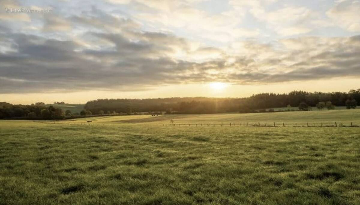 Terrain à PUTTELANGE-LES-THIONVILLE