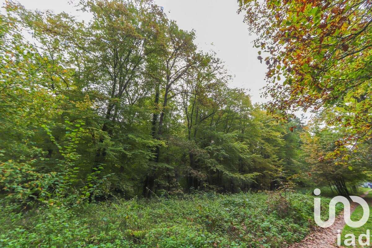 Photo 2 - Terrain à VIARMES