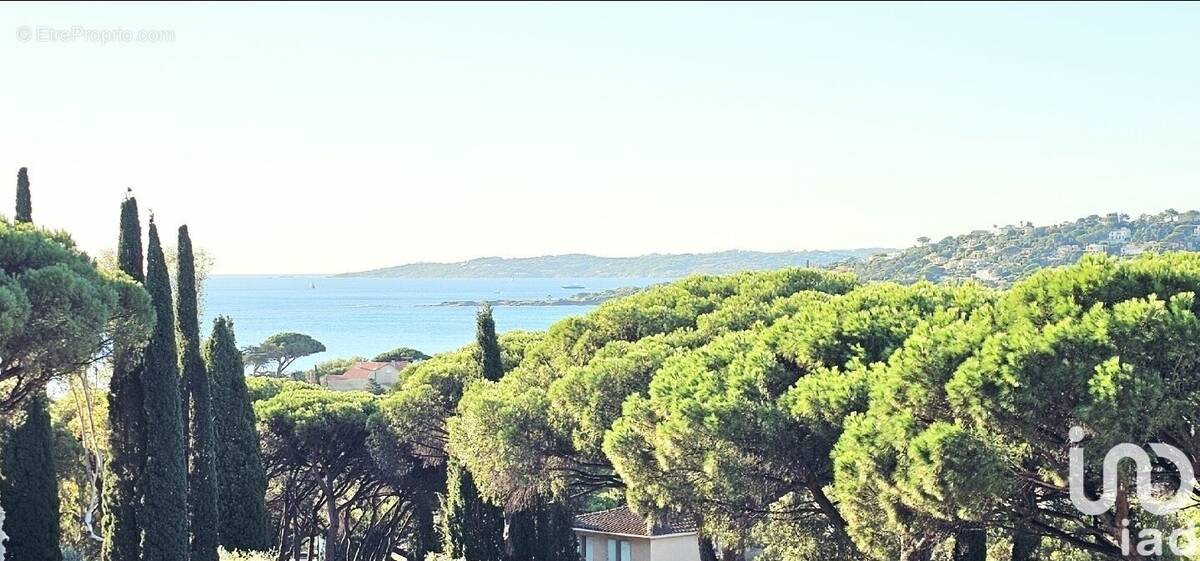 Photo 1 - Appartement à SAINTE-MAXIME