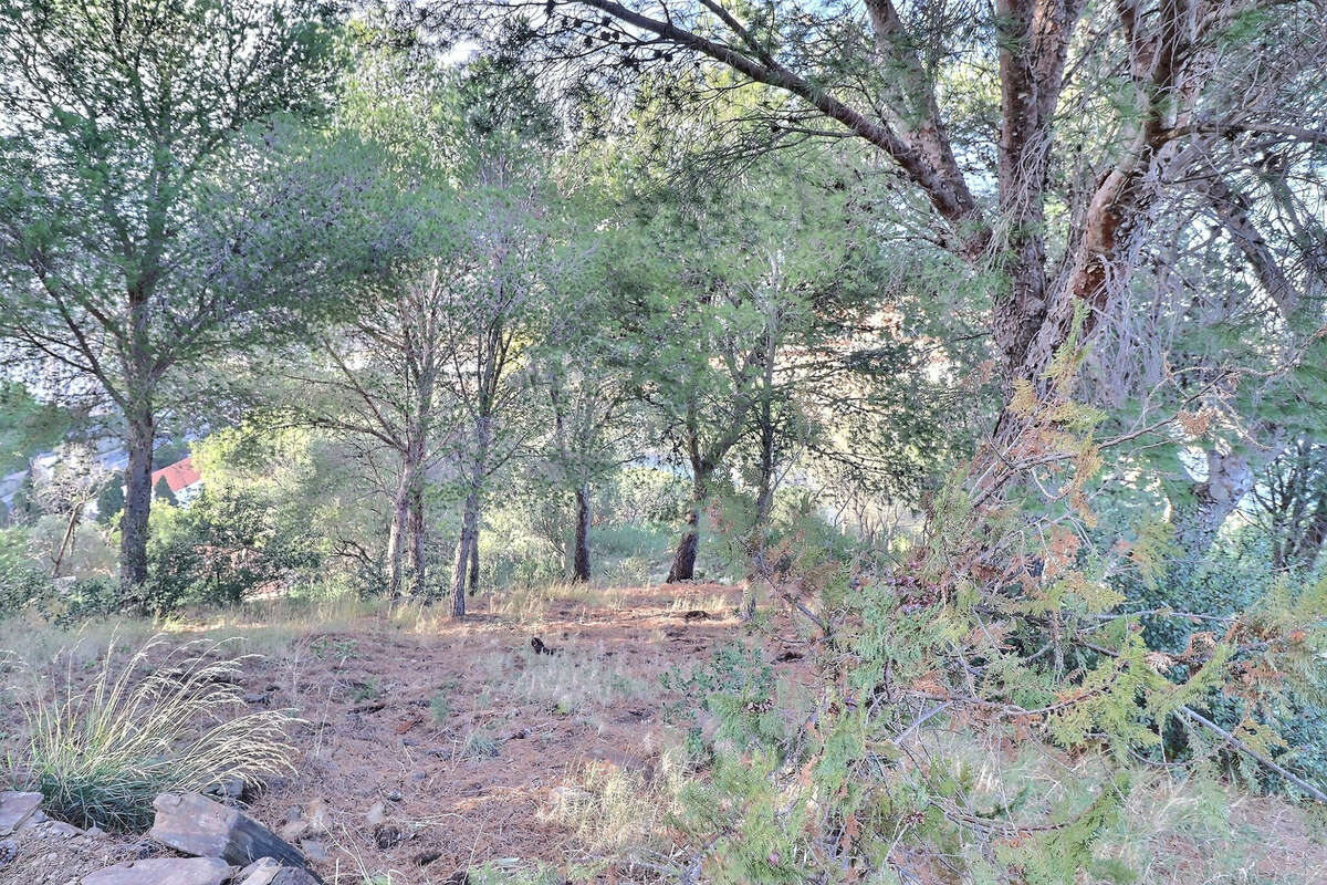 Terrain à CERBERE