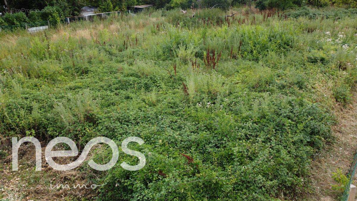 Terrain 1079 m² à Sainte-Thorette  - photo 13