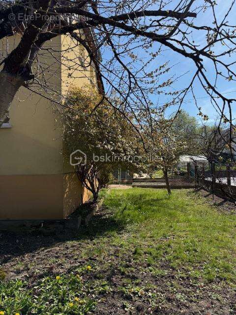 Maison à RICHWILLER