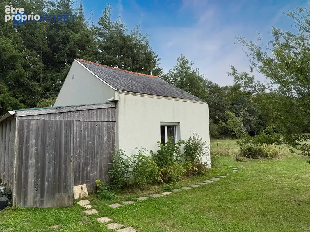 Maison Colpo 3 pièces 39 m2 + 7 hectares de terrain - photo 2
