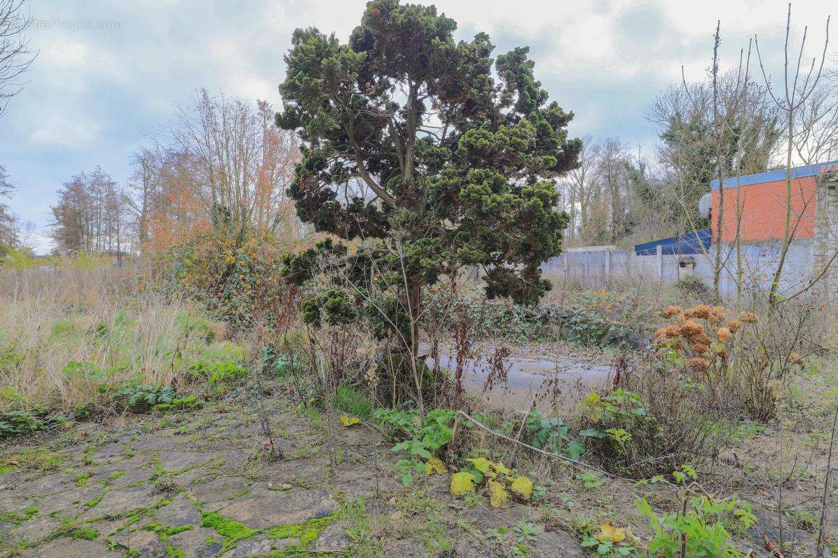 Maison à AGNEZ-LES-DUISANS