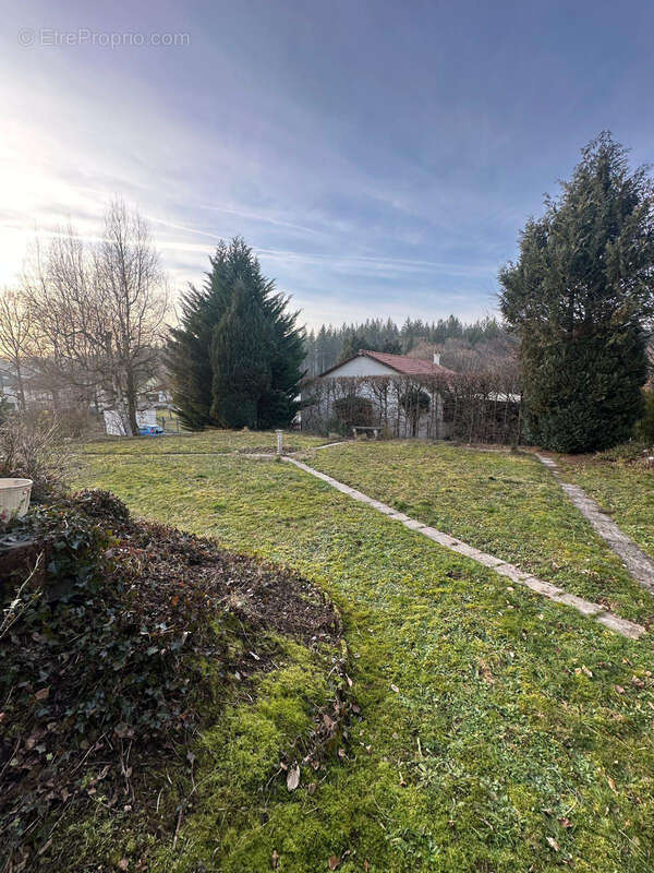 Terrain à SCHOENECK