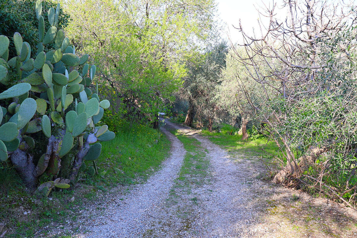Terrain à SPERACEDES